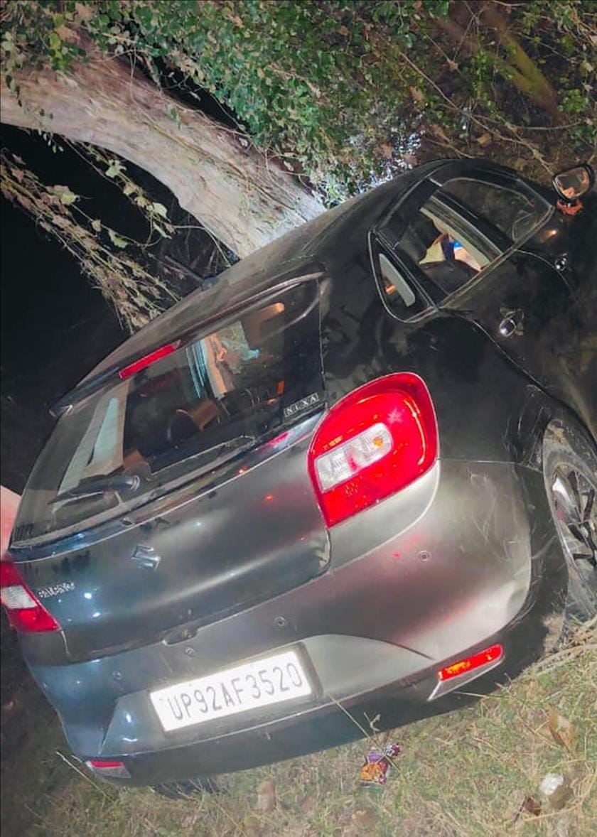 Car overturned in ditch while trying to save dog, old man died