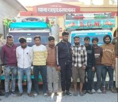 Police caught a gang of cattle thieves, nine arrested