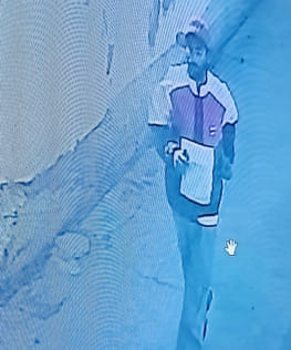 A young man snatched the earring from the lawyer's mother's ear and ran away