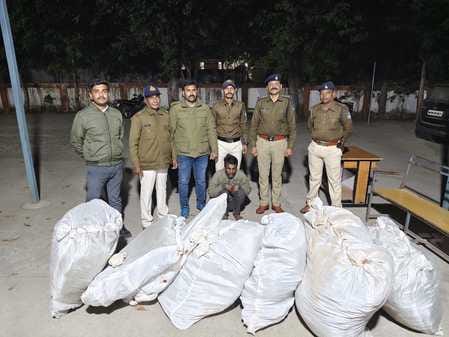 भावगढ़ में गांजे की अवैध खेती करने वाले को पुलिस ने हिरासत में लिया