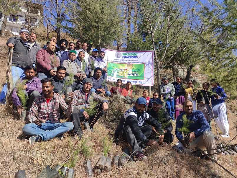 Sapling planted in Dansa school under 'Ek Tree Maa' campaign