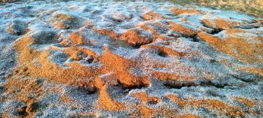 Frost is falling in rural areas