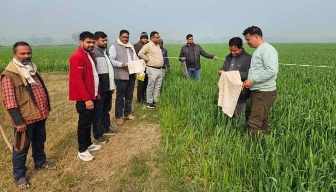 45 bigha land marked, encroachment will be removed