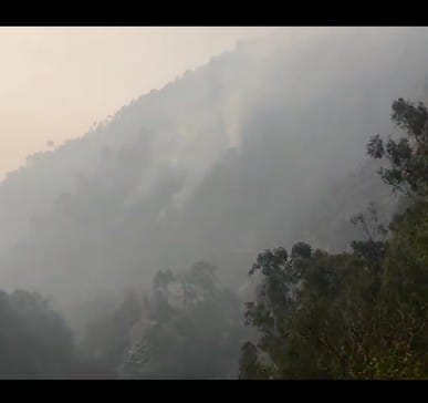 Fire in Dalash forests, chilling hours of apple, Kullu