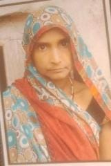 Bike collided with a bull, mother-in-law died, son-in-law injured