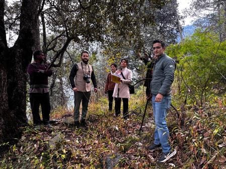 Scientists of Forest Department Rampur and HFRI Shimla are conducting survey.