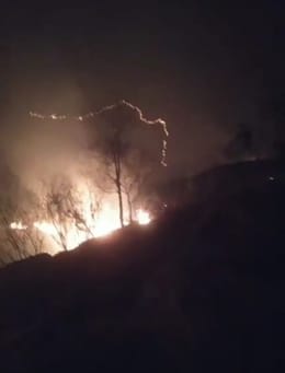 Fire incident in Kullu, fire incident in Dalash, fire in Ani