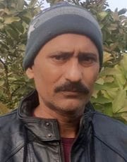 Gardeners are worried due to the rot in guava