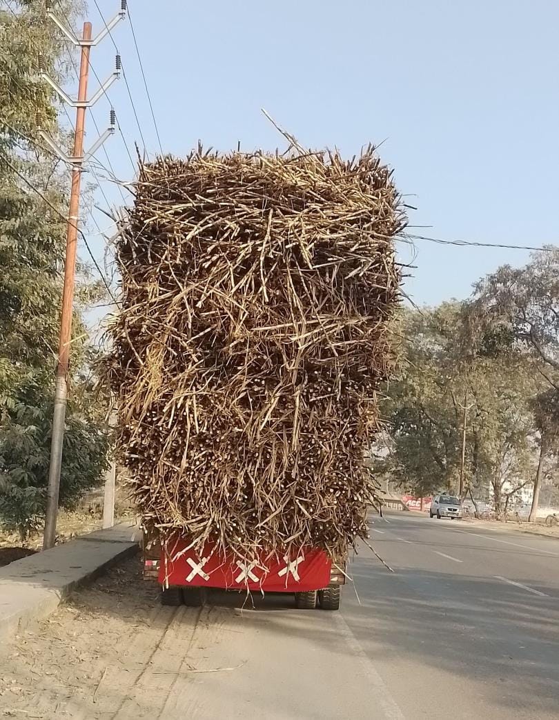 Banners with Triple X written on them started appearing behind vehicles laden with sugarcane