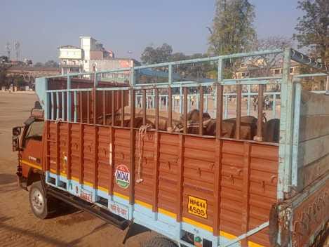 animals problem in nahan