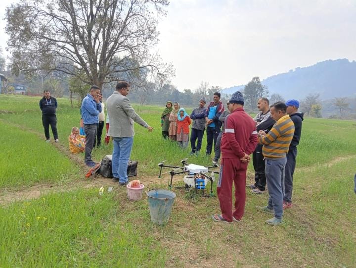 Spraying of fertilizer by drone in Gora, Bhran