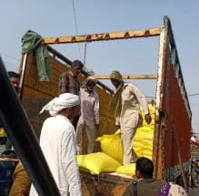Fertilizer reached village Baliali
