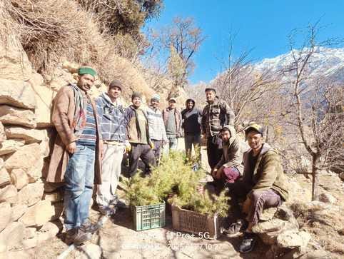 Youth group planted saplings in Changaon, gave message of environmental protection