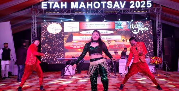 The audience danced to the songs and dance in the musical night.