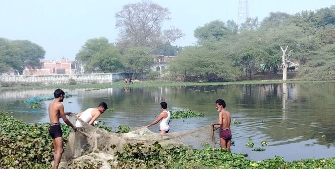 Drunk youth jumps into pond, search continues