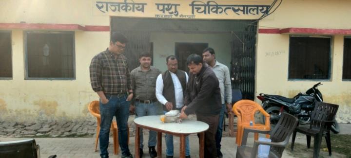 White vulture got electrocuted, forest department got it treated
