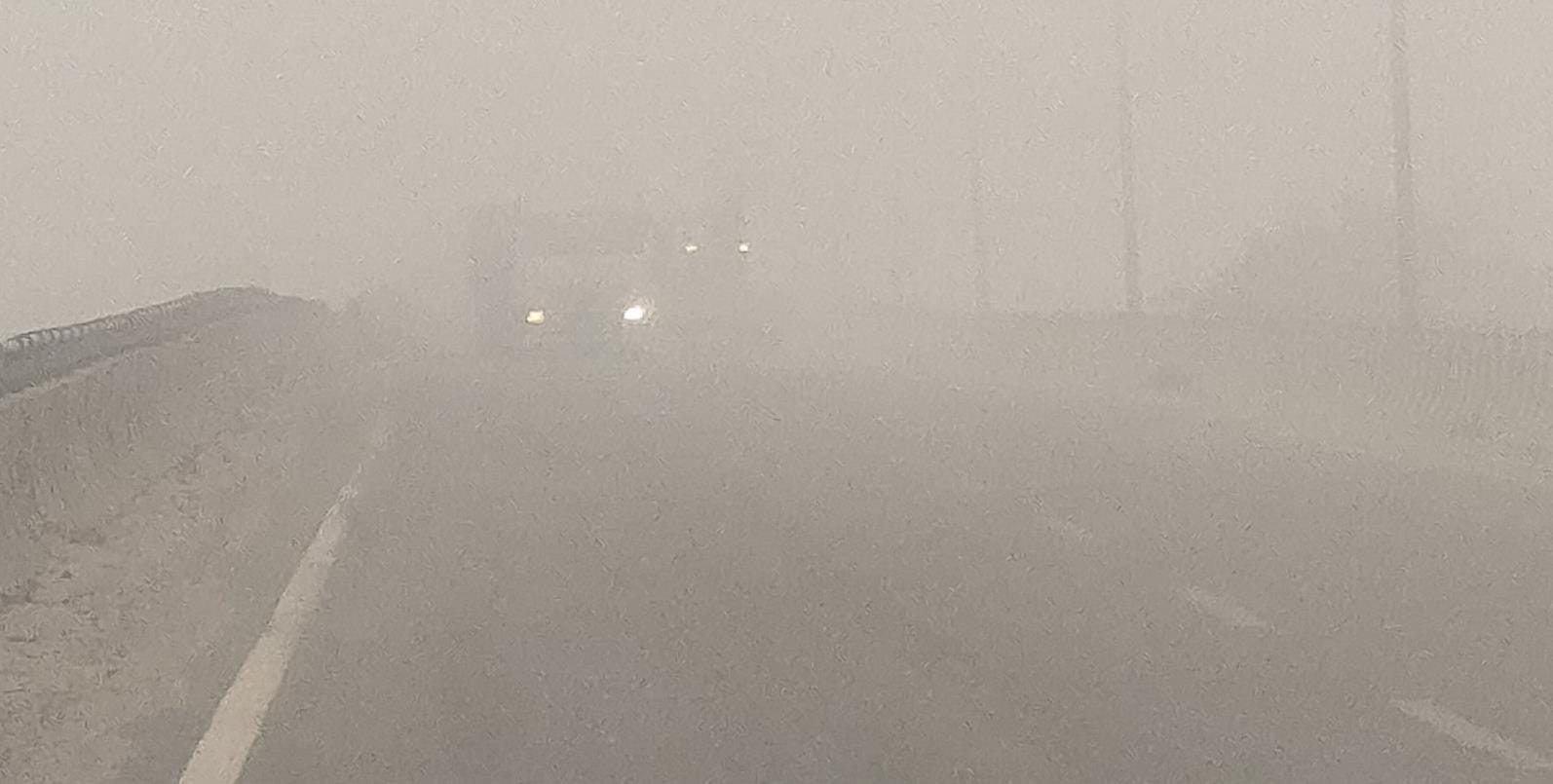 fogg again