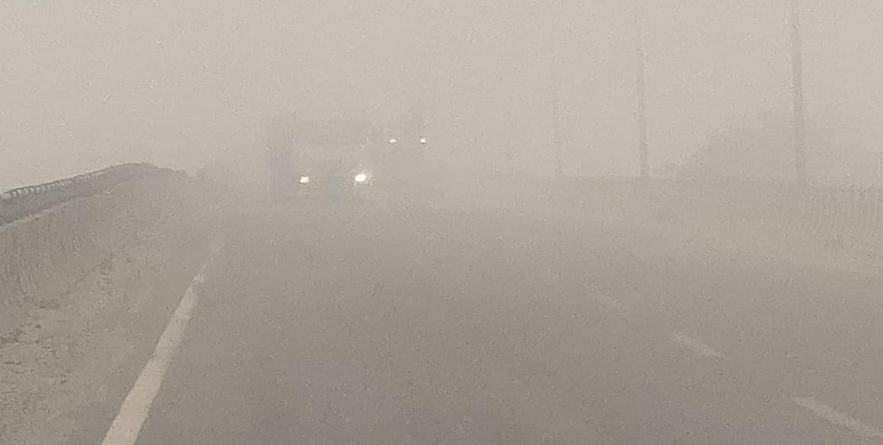 fogg again