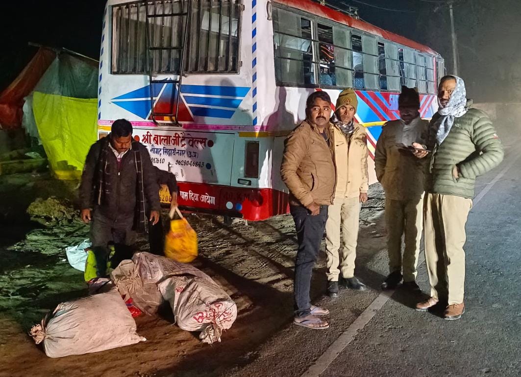 Bus collides with sugarcane laden trolley, eight injured