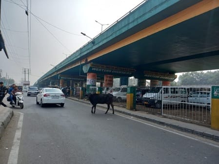 The bridge area at the bus stand will be beautified