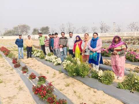 Made 12 farmers aware about flower farming by giving training