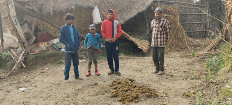 Elephant terror in Bharthapur, three thatched houses destroyed
