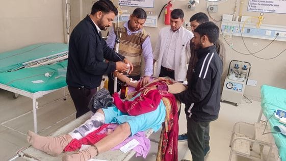 Old woman injured in fight between two bulls