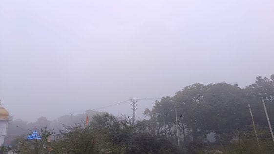 Temperature reached near 10 degrees Celsius, frost was freezing five days ago