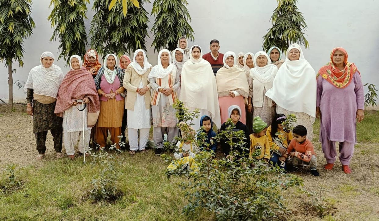 vasant panchami celebrated