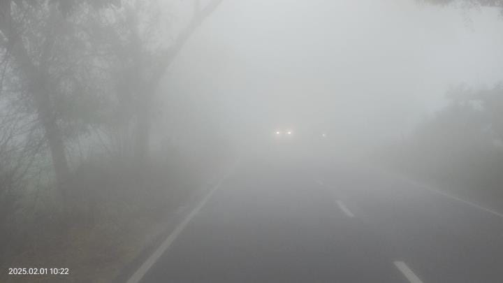 Dense fog has been prevailing for two days, water is dripping from trees