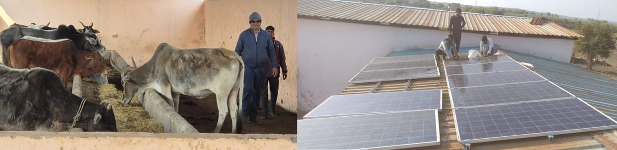 Shivpuri Kalothra Panchayat where country first PM Janman Awas built cowshed will illuminated by solar energy