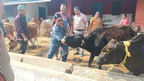 32 units of blood were collected in the camp and 47 animals were treated.