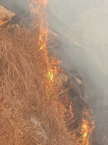 Now fire broke out in Santi-Lankhi forest Chamoli Uttarakhand News in hindi