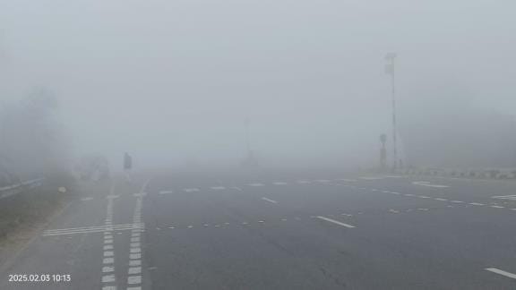 Crops benefit from fog and cold, yield will increase