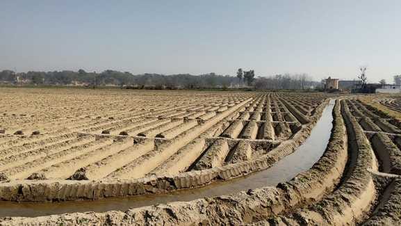 Farmers busy irrigating crops due to lack of rain