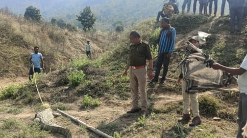 Damoh 15 feet long crocodile seen in the fields of Bhojpurahar, after panic among the farmers
