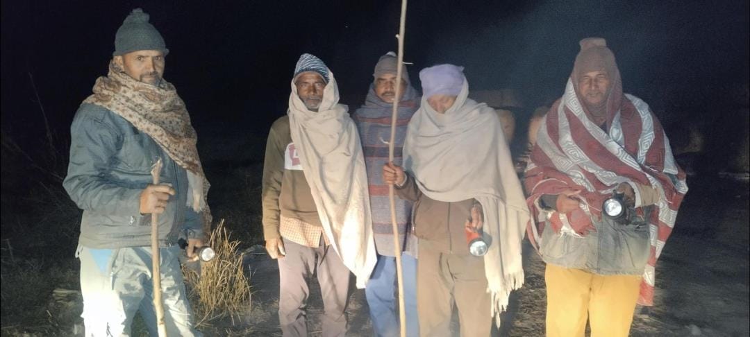 Animals are eating greenery and fields are being guarded at night.