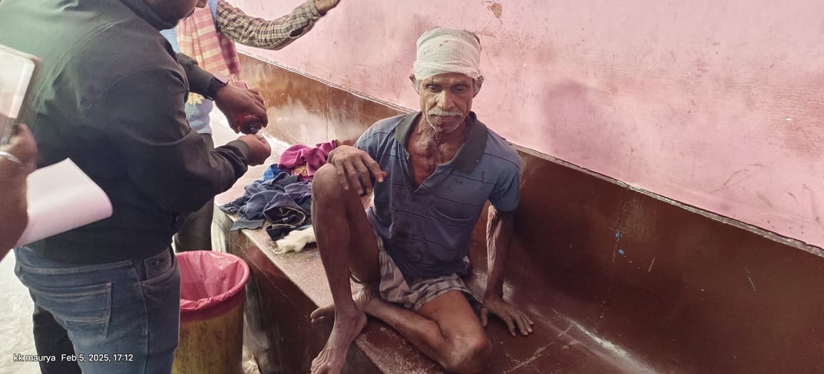 Old man and girl attacked by tiger, injured