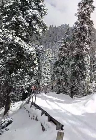 30 cm fresh snowfall in Jalori Jot, 10 cm in Kinnaur and five cm in Narkanda.