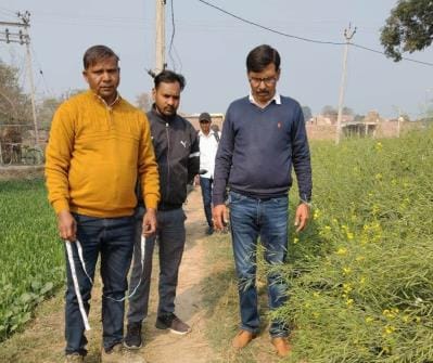 Forest Department Found Dead Jackal On The Roadside - Auraiya News - Auraiya News:वन विभाग को सड़क किनारे मिला मरा सियार