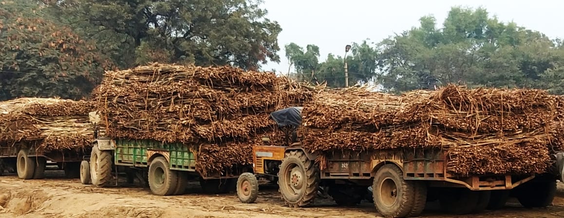 Sugarcane crushing halted in Tilhar sugar mill due to boiler failure