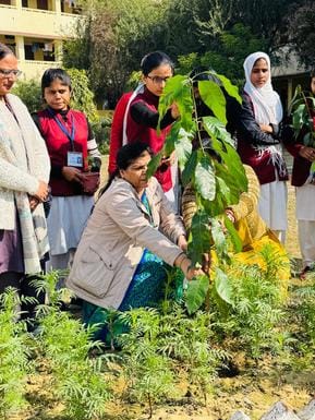 Saplings planted in RG College