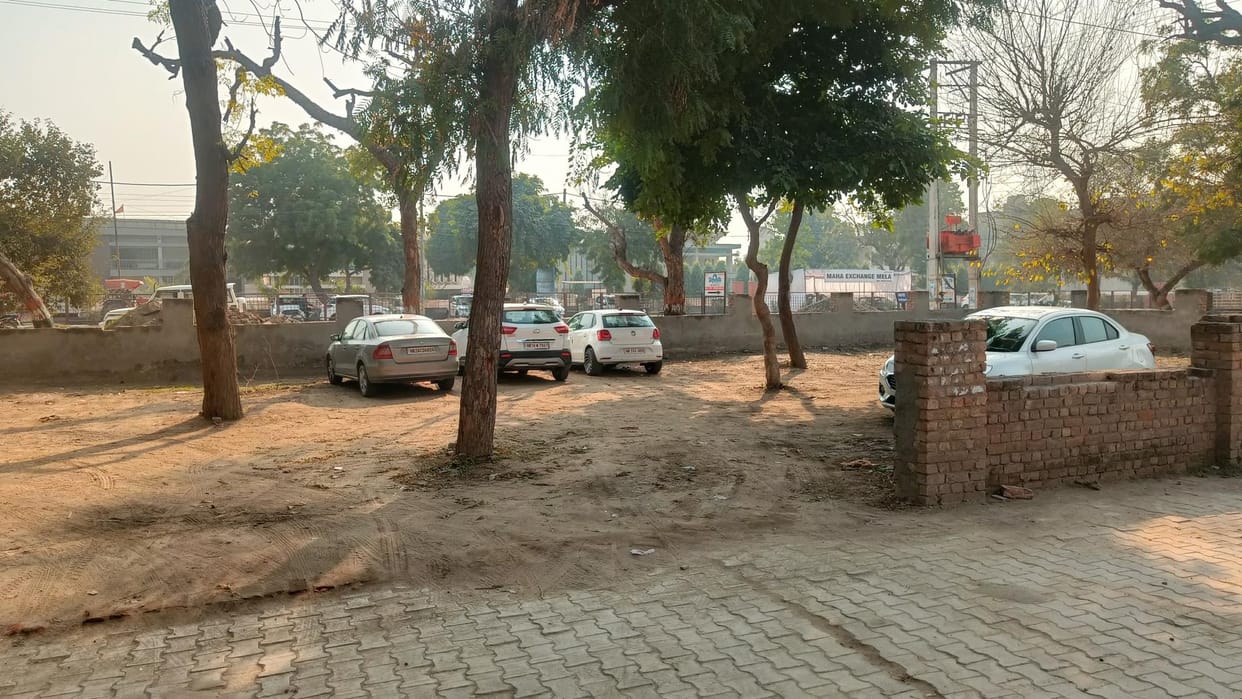 People are occupying the green belt of the city, city council officers are unaware