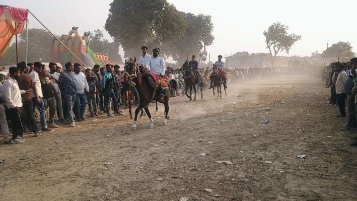 The king's horse was ahead in the gallop race
