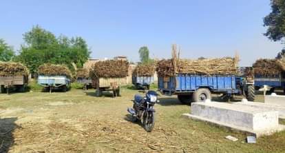 Dehradun News: 494 sugarcane purchasing centers allotted to the sugar mills of the state