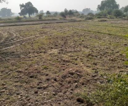 Land mafia is increasing its occupation of agricultural land, administration is unaware