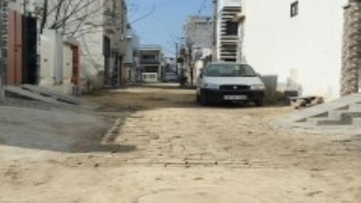 Raw streets and helpless animals have become a problem for the residents of Ward 2.