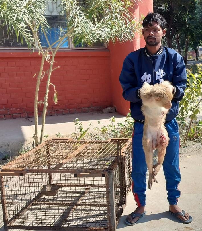 Necessary medicines for treatment of dog, monkey and cat injuries are not available in Vet Polyclinic.