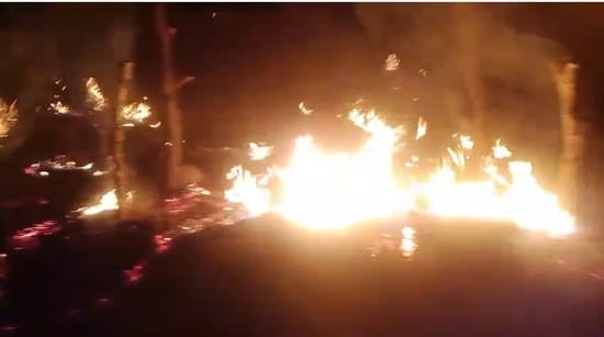 Thatch was poured with petrol and set on fire, four cattle burnt alive