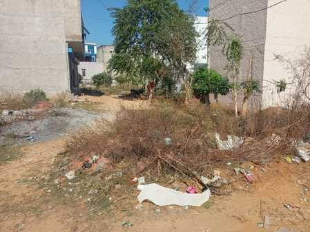 Citizens of Ward 3 are worried about basic facilities and monkey terror.